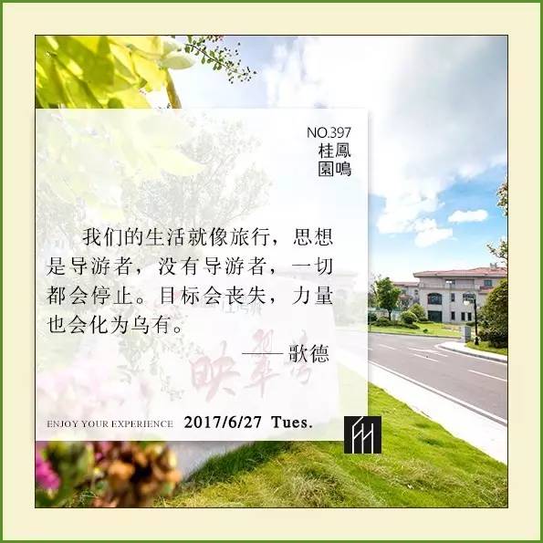 杨国强 仲明大学生助学金 碧桂园 社会责任_新华社杨国强简历