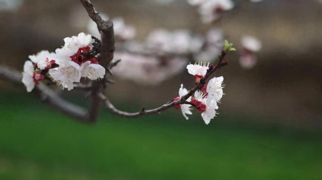 澳门管家一肖一特中下一期预测 农信文苑丨浅谈新闻写作