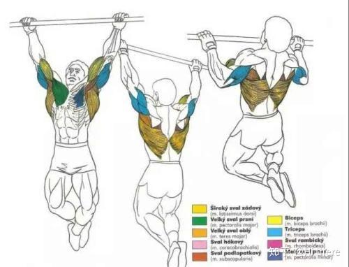 健身入门词汇_健身手套什么品牌好_健身解剖词汇