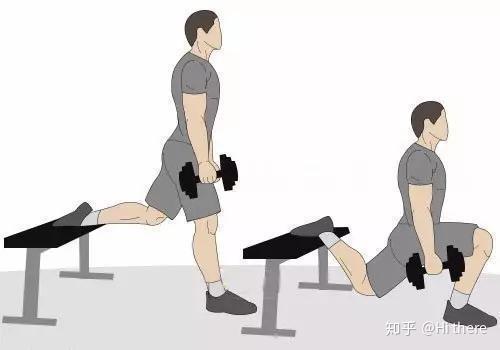 健身入门词汇_健身手套什么品牌好_健身解剖词汇