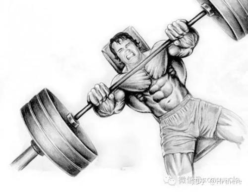 健身入门词汇_健身解剖词汇_健身手套什么品牌好