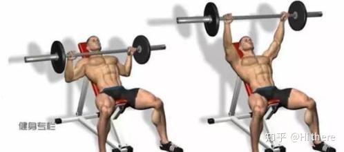 健身解剖词汇_健身手套什么品牌好_健身入门词汇