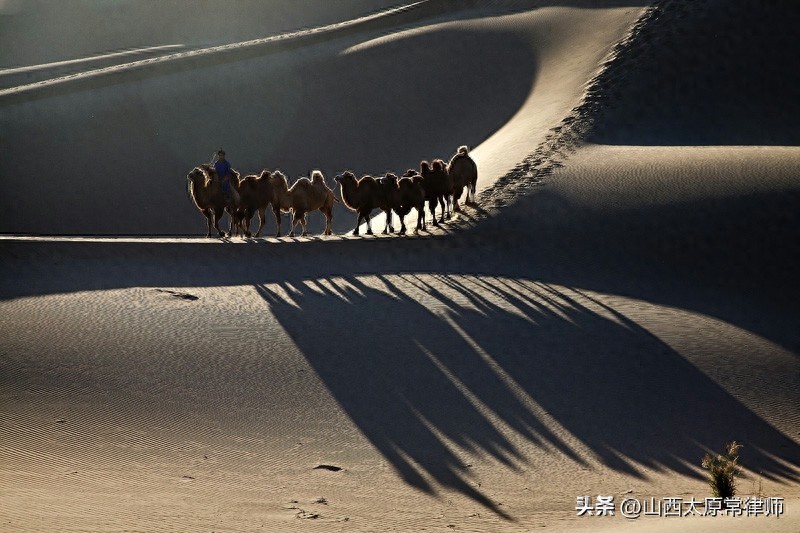 澳门管家一肖一特中下一期预测 股权转让协议（范本）