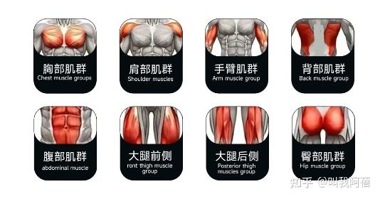 2025年免费精准大全谜语 综合训练器