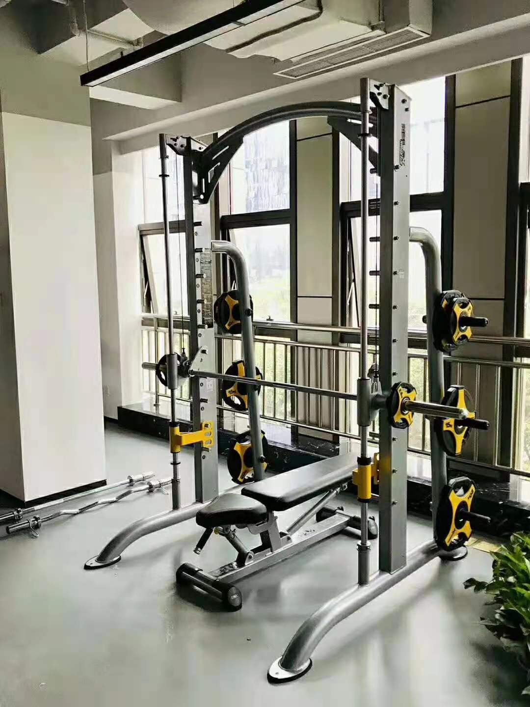 新澳门天天精准大全谜语王子 综合训练器哪个牌子好