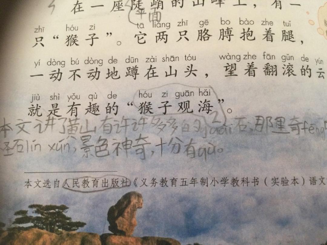 小学语文阅读理解技巧_二年级语文学习方法_二年级上册语文练习2